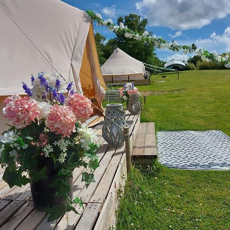 Hopgarden Glamping - Luxury 6M Bell Tent Wadhurst Exteriér fotografie