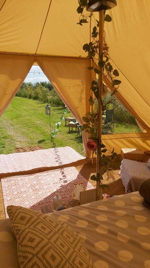 Hopgarden Glamping - Luxury 6M Bell Tent Wadhurst Exteriér fotografie