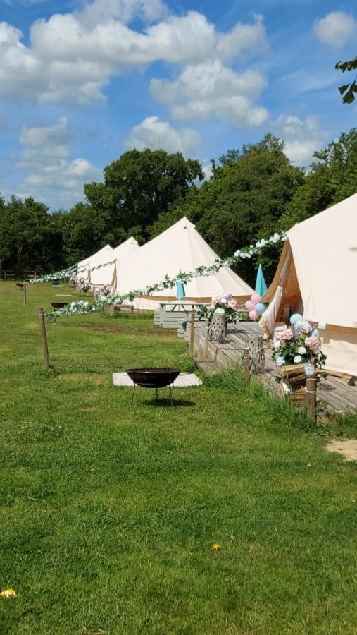 Hopgarden Glamping - Luxury 6M Bell Tent Wadhurst Exteriér fotografie