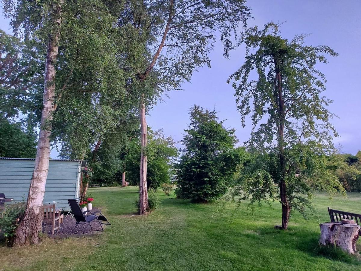 Hopgarden Glamping - Luxury 6M Bell Tent Wadhurst Exteriér fotografie