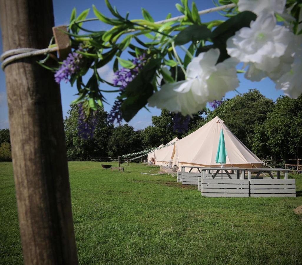 Hopgarden Glamping - Luxury 6M Bell Tent Wadhurst Exteriér fotografie